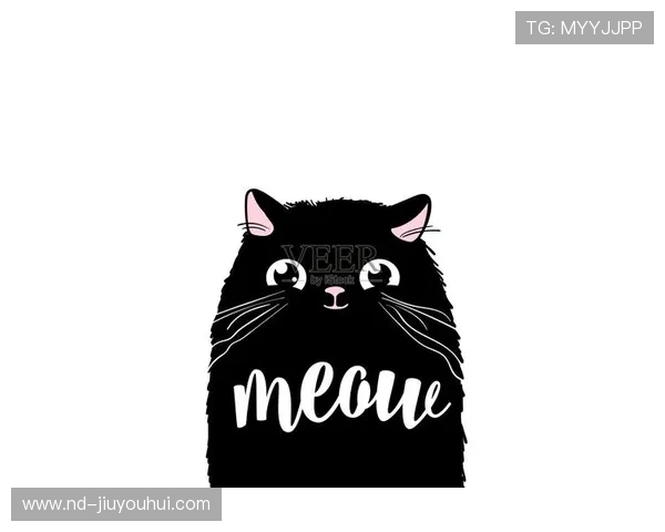 卡通小猫穿着酷炫足球装备的活力运动风格精致可爱头像魅力造型感